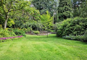 Optimiser l'expérience du jardin à Entzheim